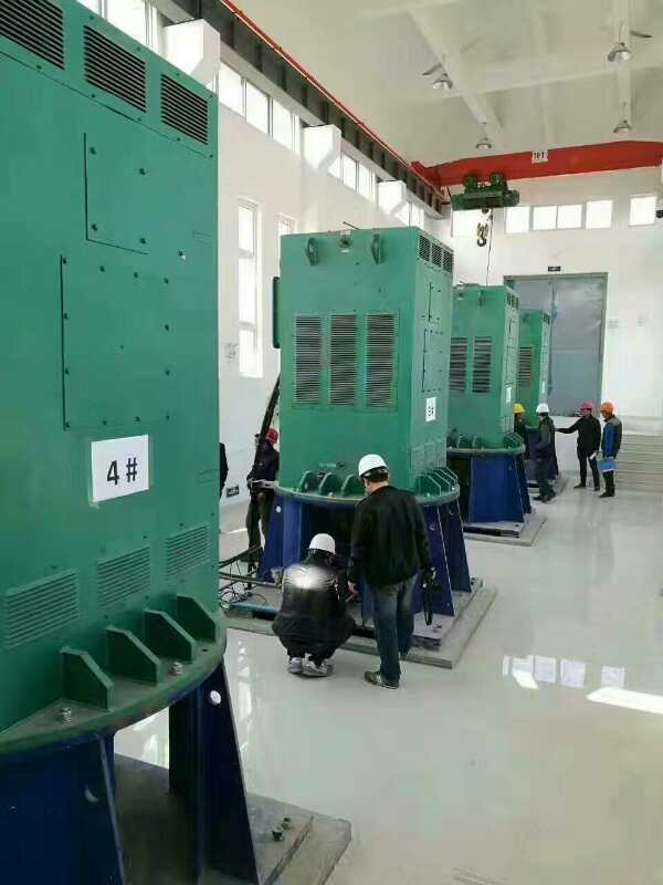 杜集某污水处理厂使用我厂的立式高压电机安装现场